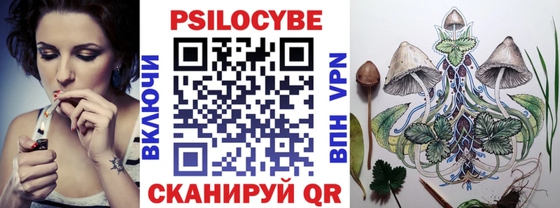 магазин продажи   Дно  Галлюциногенные грибы Magic Shrooms 